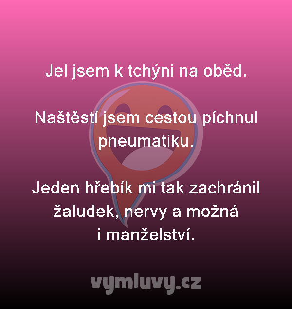Jel jsem k tchýni na oběd.

Naštěstí jsem cestou píchnul pneumatiku.

Jeden hřebík mi tak zachránil žaludek, nervy a možná i manželství.