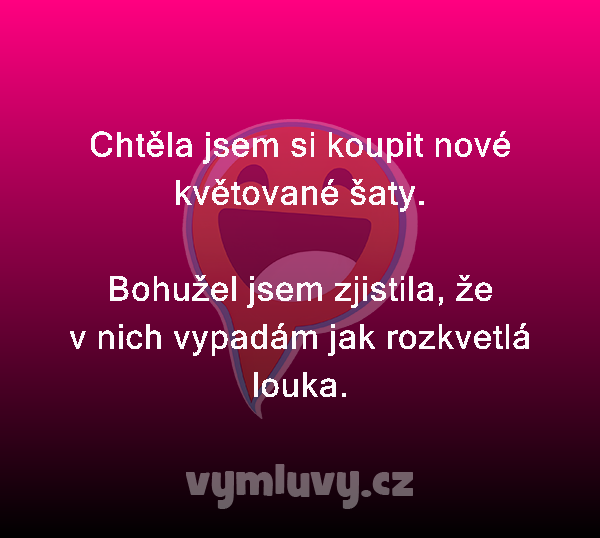 Chtěla jsem si koupit nové květované šaty.

Bohužel jsem zjistila, že v nich vypadám jak rozkvetlá louka. 