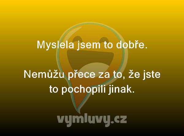 Myslela jsem to dobře.

Nemůžu přece za to, že jste to pochopili jinak. 