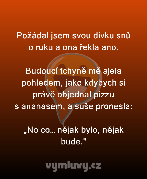 Požádal jsem svou dívku snů o ruku a ona řekla ano.

Budoucí tchyně mě sjela pohledem, jako kdybych si právě objednal pizzu s ananasem, a suše pronesla: 

„No co… nějak bylo, nějak bude.