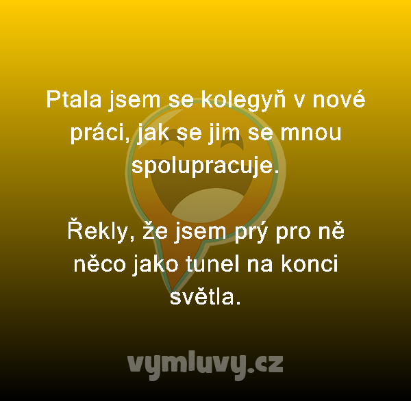 Ptala jsem se kolegyň v nové práci, jak se jim se mnou spolupracuje.

Řekly, že jsem prý pro ně něco jako tunel na konci světla.