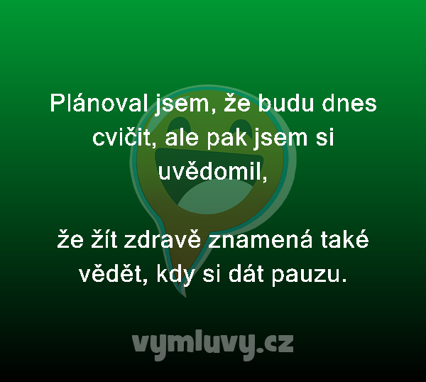 Plánoval jsem, že budu dnes cvičit, ale pak jsem si uvědomil,

že žít zdravě znamená také vědět, kdy si dát pauzu.