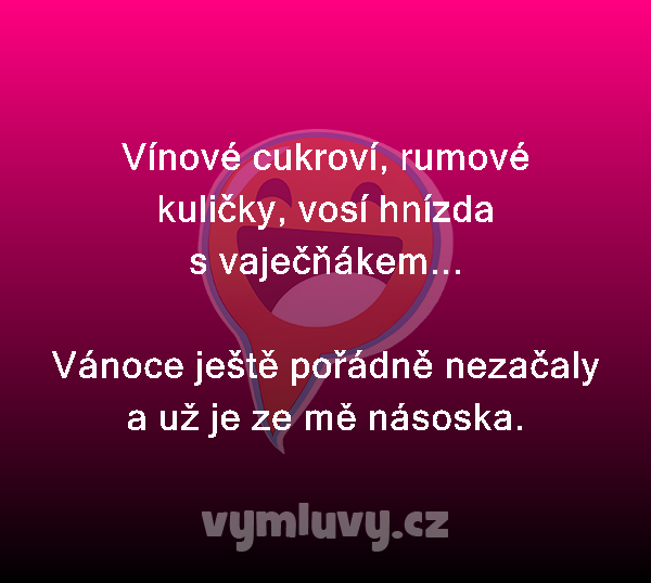 Vínové cukroví, rumové kuličky, vosí hnízda s vaječňákem...

Vánoce ještě pořádně nezačaly a už je ze mě násoska. 