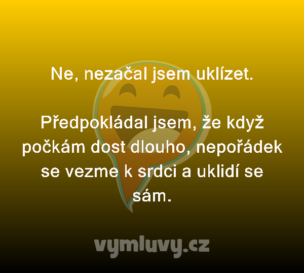 Ne, nezačal jsem uklízet.

Předpokládal jsem, že když počkám dost dlouho, nepořádek se vezme k srdci a uklidí se sám.