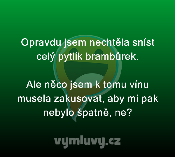 Opravdu jsem nechtěla sníst celý pytlík brambůrek.

Ale něco jsem k tomu vínu musela zakusovat, aby mi pak nebylo špatně, ne?