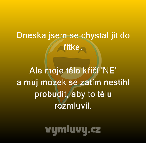 Dneska jsem se chystal jít do fitka.

Ale moje tělo křičí 'NE' a můj mozek se zatím nestihl probudit, aby to tělu rozmluvil.