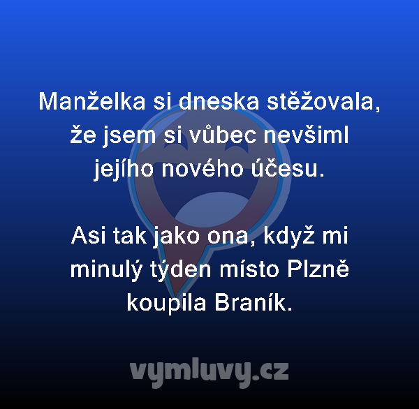 Manželka si dneska stěžovala, že jsem si vůbec nevšiml jejího nového účesu.

Asi tak jako ona, když mi minulý týden místo Plzně koupila Braník. 