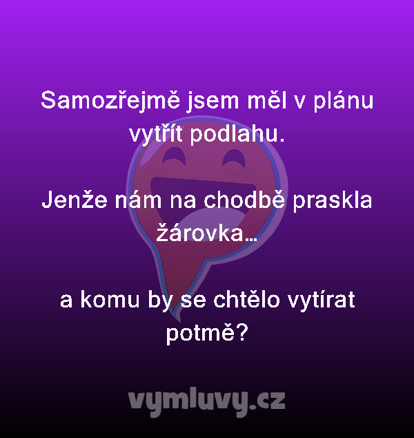 Samozřejmě jsem měl v plánu vytřít podlahu.

Jenže nám na chodbě praskla žárovka…

a komu by se chtělo vytírat potmě?