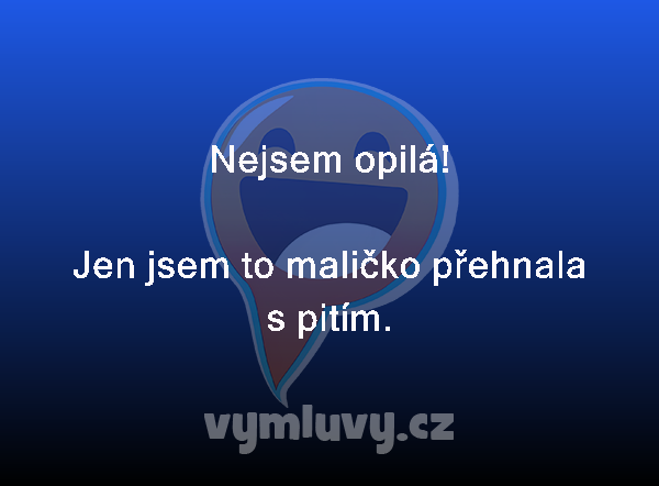 Nejsem opilá!

Jen jsem to maličko přehnala s pitím. 